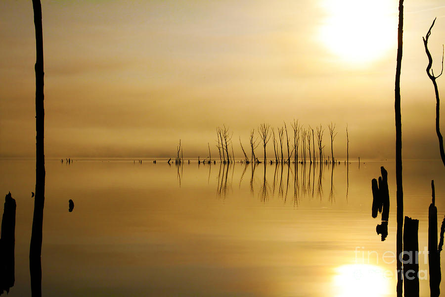 Foggy Rise Photograph by Roger Becker