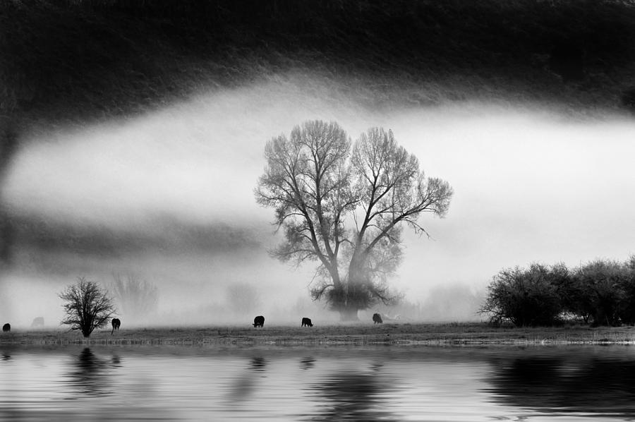 Foggy River Photograph by Lane Erickson