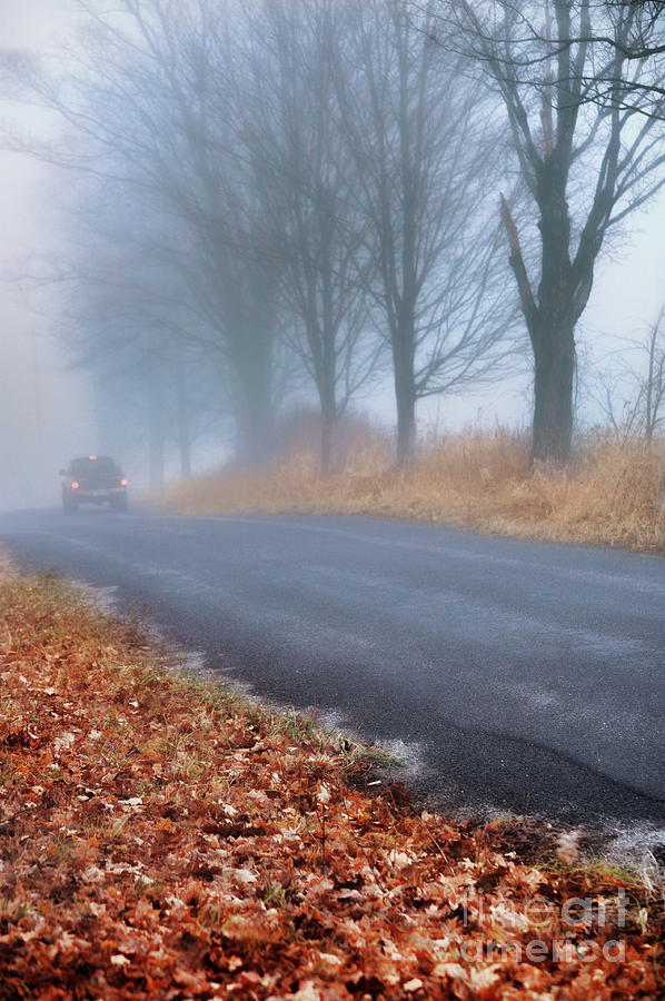 Foggy Road Photograph by HD Connelly