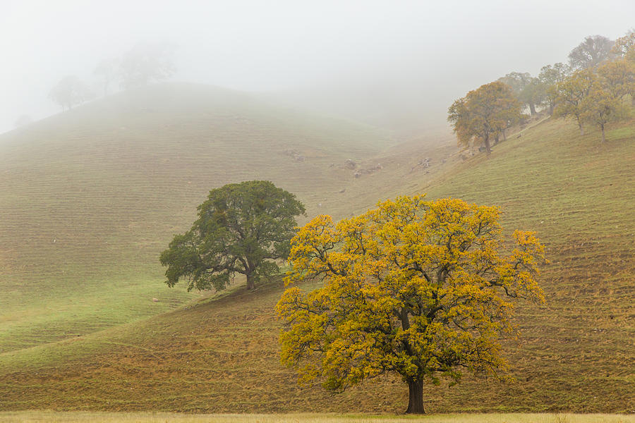 Foggy Round Valley Photograph by Marc Crumpler