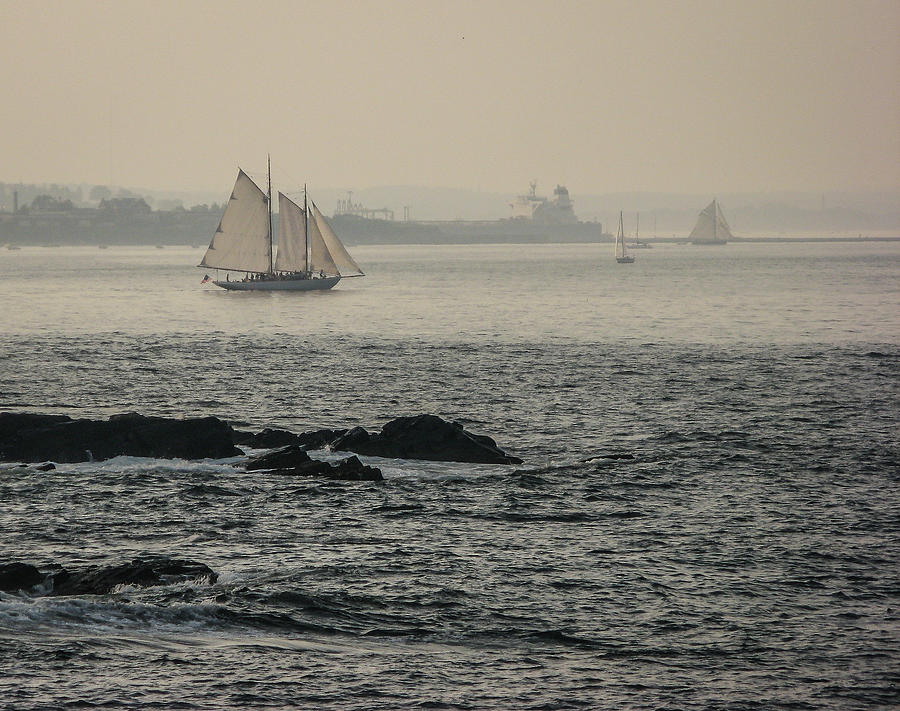 Foggy sail Photograph by Jane Luxton