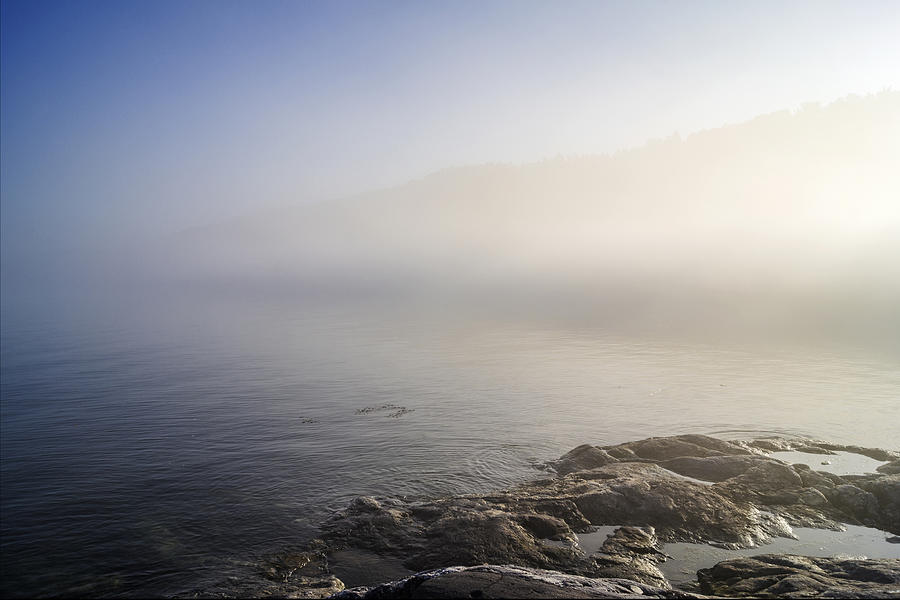 Foggy seashore Photograph by Arkady Kunysz - Fine Art America