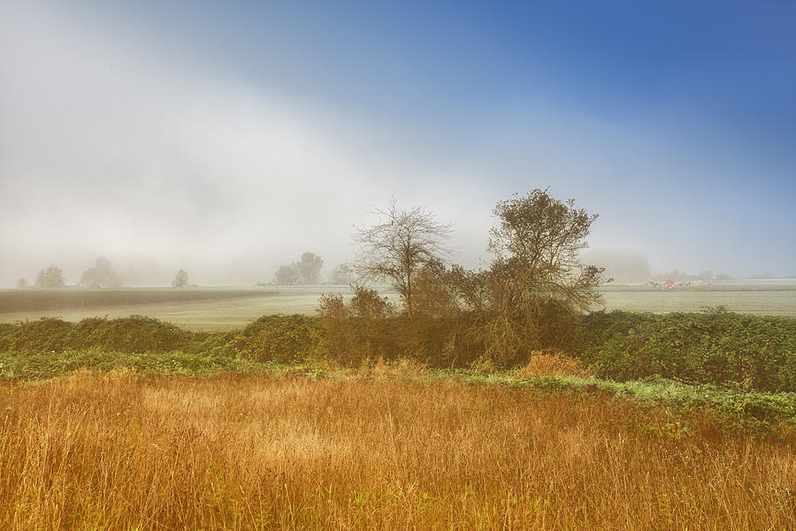 Foggy September morning Photograph by Eti Reid