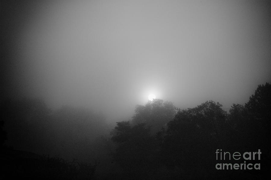 Abstract Photograph - Foggy Sunrise by Arne Hansen