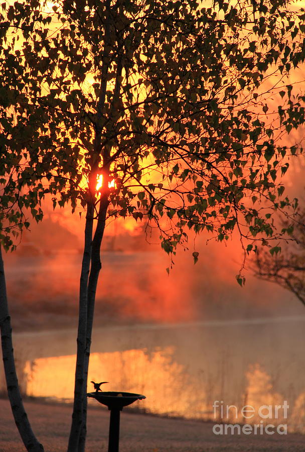 Foggy Sunrise Photograph by Carol Komassa