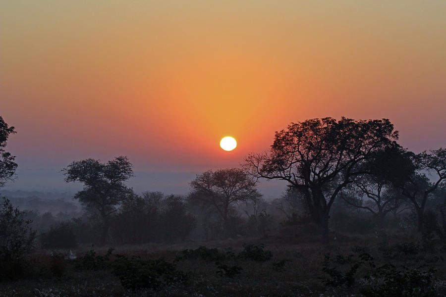 Foggy Sunrise Photograph by Christy Cox