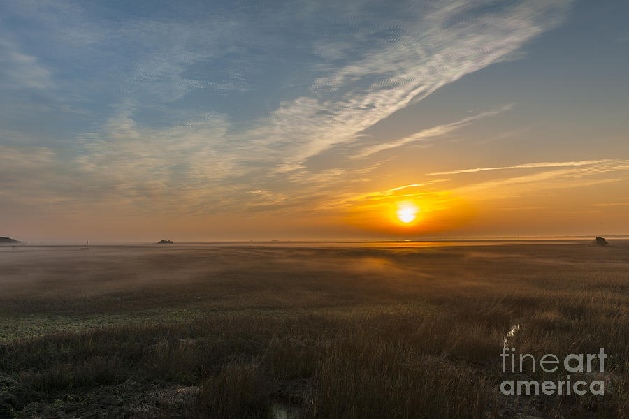 Foggy Sunrise   Photograph by Dale Powell