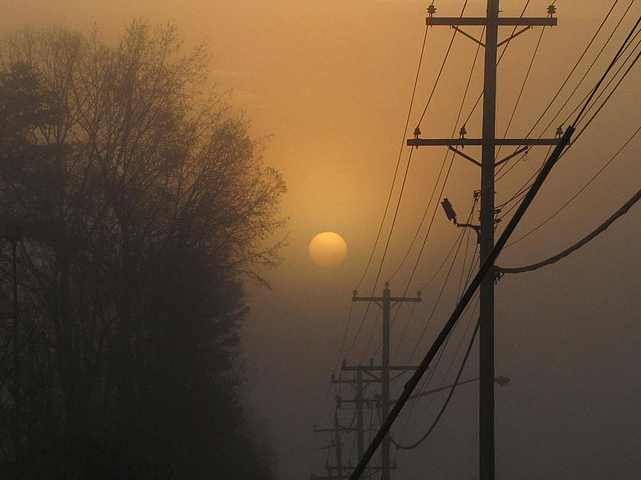 Foggy Sunrise Photograph