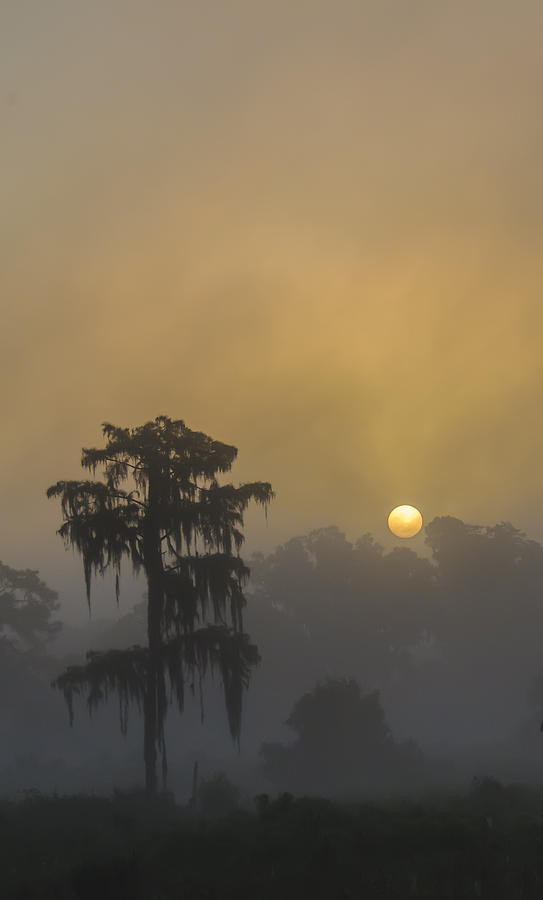 Nature Photograph - Foggy Sunrise II by Kenneth Blye