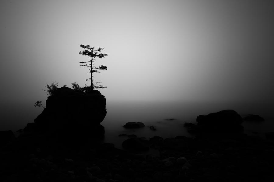 Foggy Sunrise Photograph by Jakub Sisak