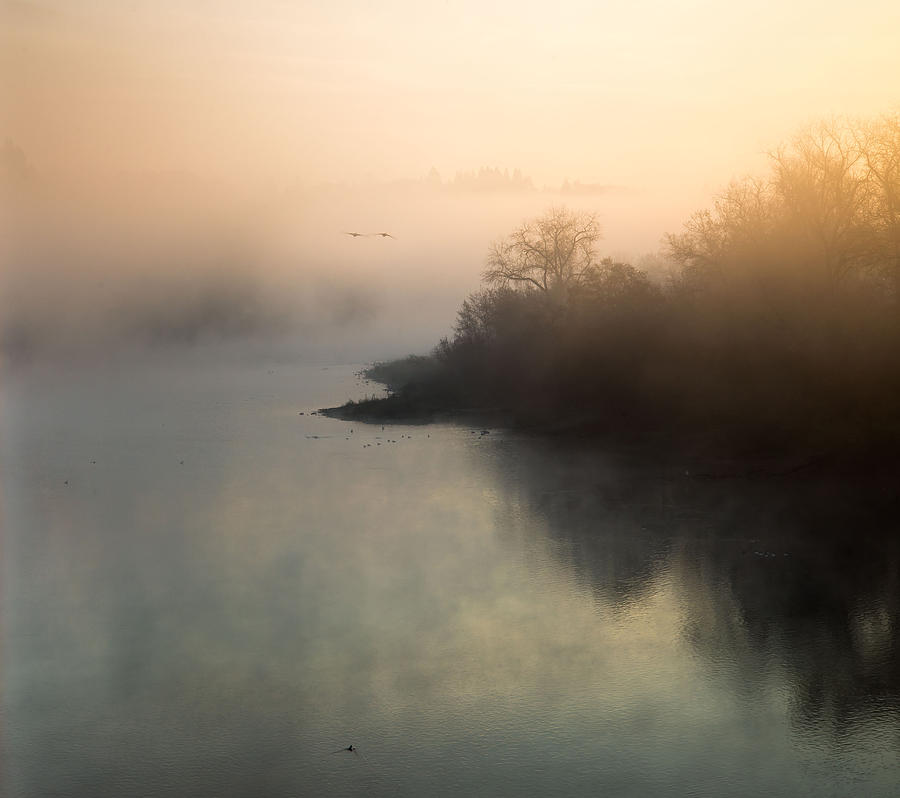 Foggy Sunrise Photograph by Janet  Kopper