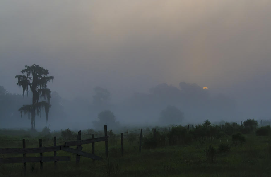Nature Photograph - Foggy Sunrise by Kenneth Blye