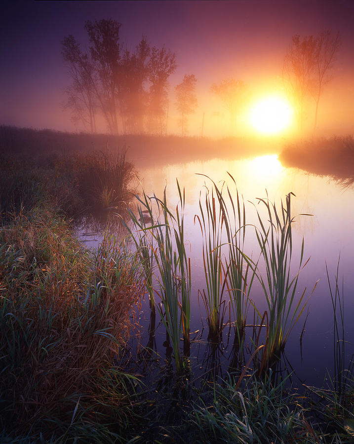 Foggy Sunrise Photograph by Ray Mathis