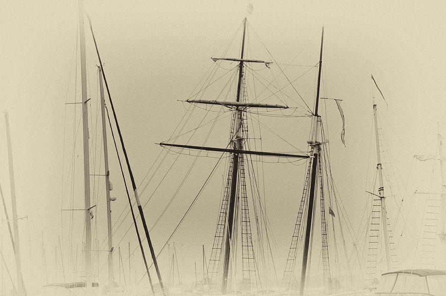Tall Ships Photograph by Thomas Hall
