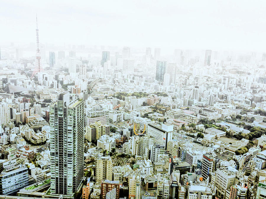 Foggy Tokyo View Photograph by Dreaming Life
