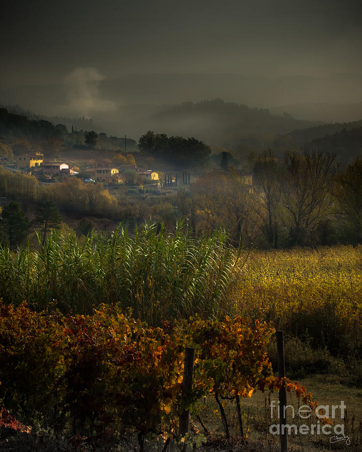 Architecture Photograph - Foggy Tuscan Valley  by Prints of Italy