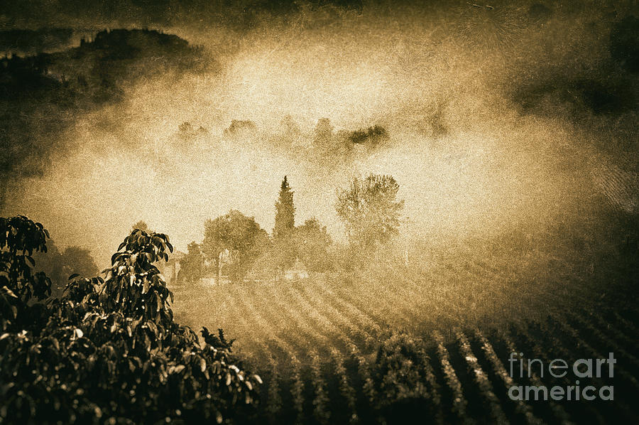 Black And White Photograph - Foggy Tuscany by Silvia Ganora