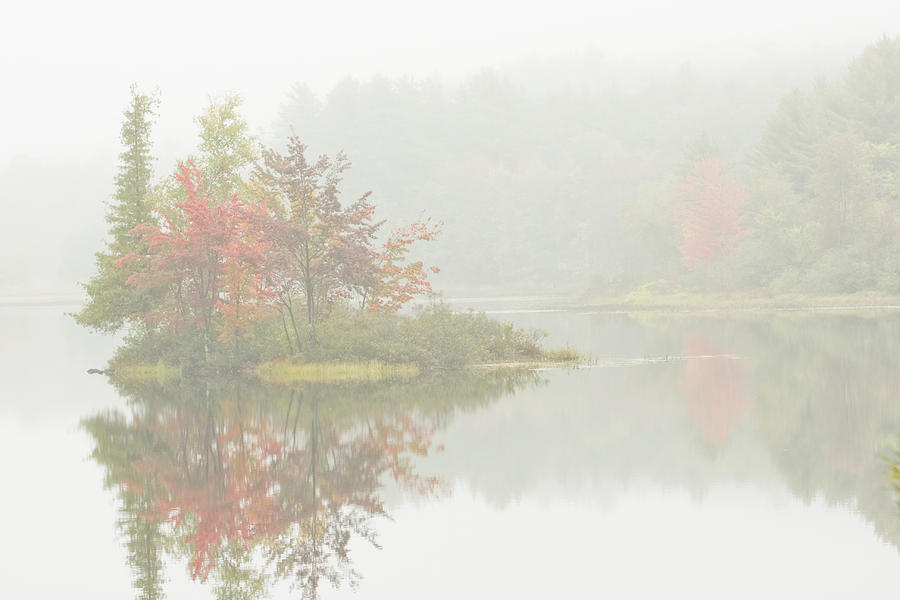 Fall Photograph - Foggy Weather And Fall Colors on Flying Pond Vienna Maine by Keith Webber Jr