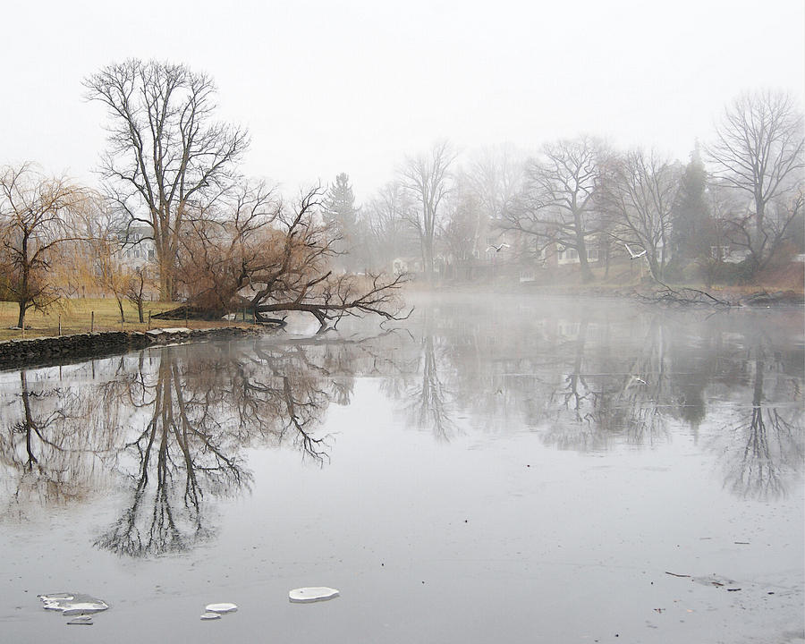 Foggy Winter Creek Photograph by Margie Avellino
