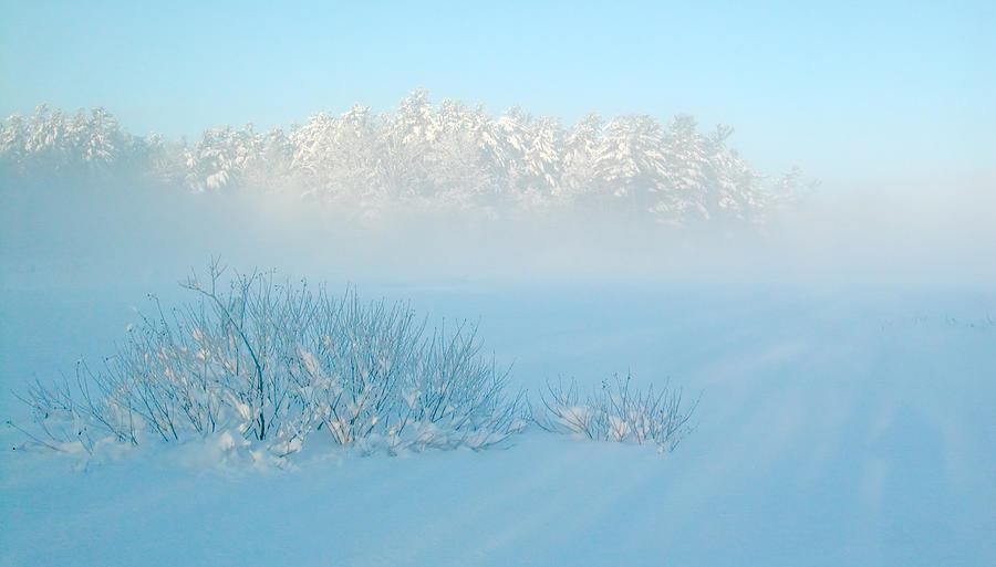 Foggy Winter Morning on Mud Lake Photograph by Rob Huntley
