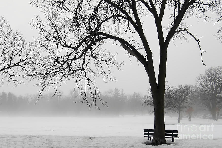 Foggy Winter Morning Photograph by Teresa Zieba