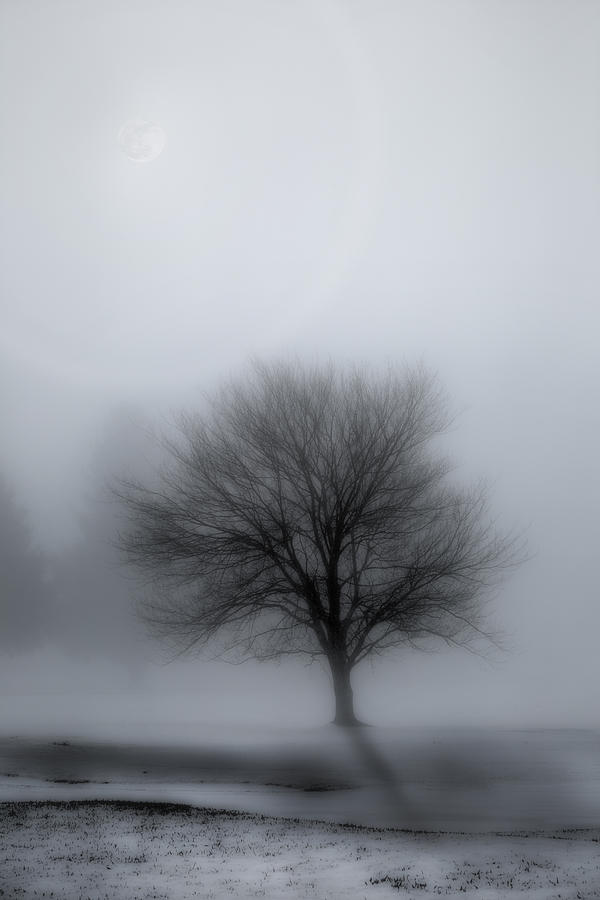 Black And White Photograph - Foggy Winter Night by Bill Wakeley