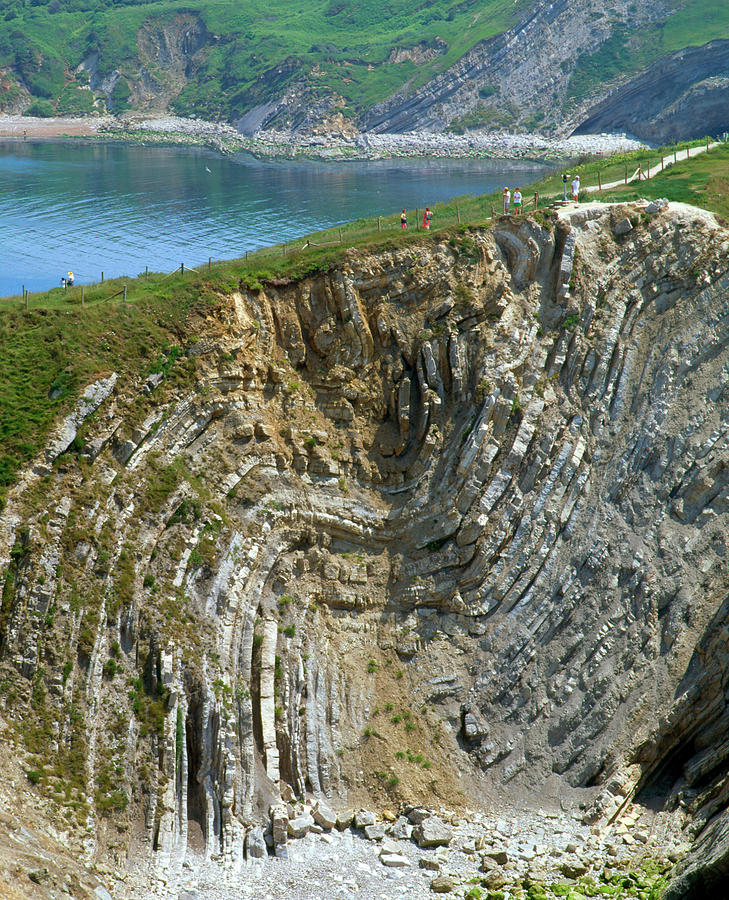 Folded Strata In Stair Hole Cliffs Dorset Photograph by Martin Bond/science Photo Library