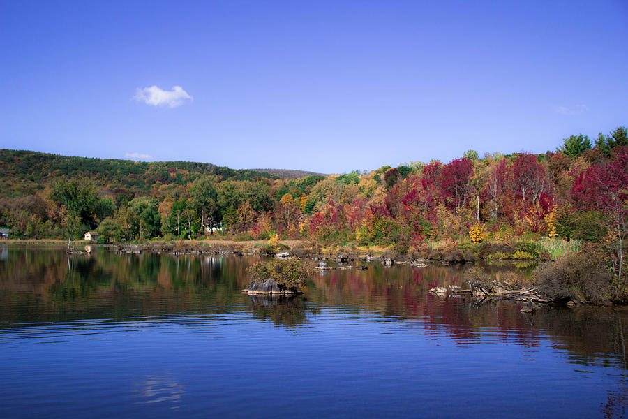 Foliage Photograph by Barbara Blanchard - Fine Art America