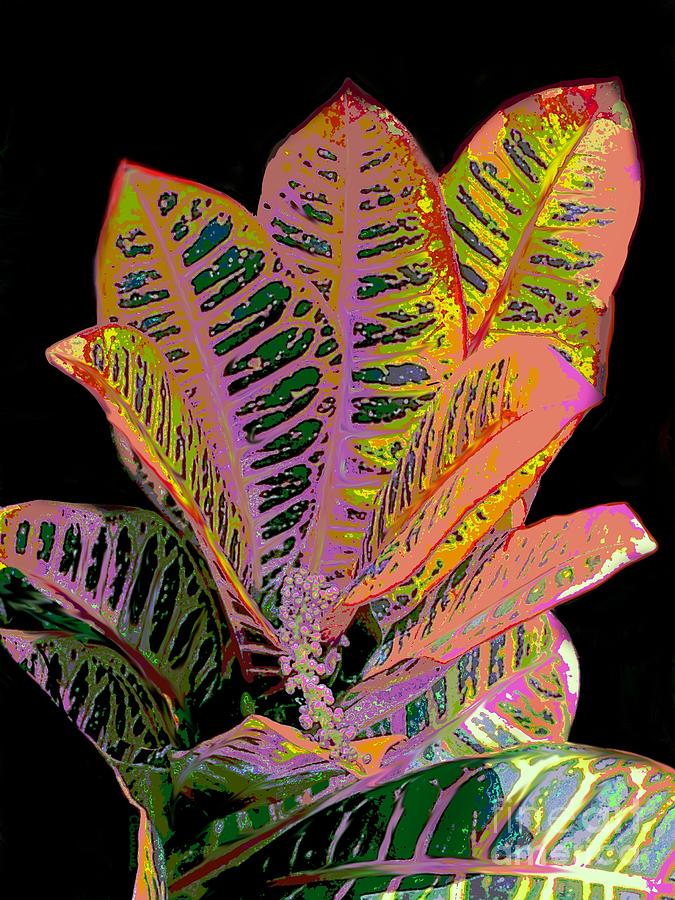 Foliage Digital Art by Christine Fournier