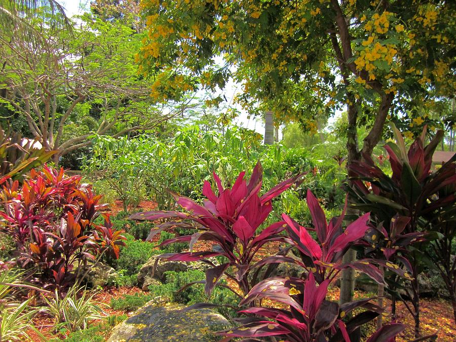Foliage Garden Photograph by MTBobbins Photography