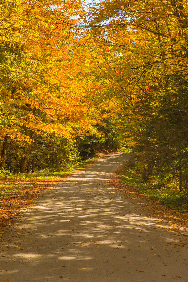 Foliage on a Vermont Country Road Photograph by Vance Bell
