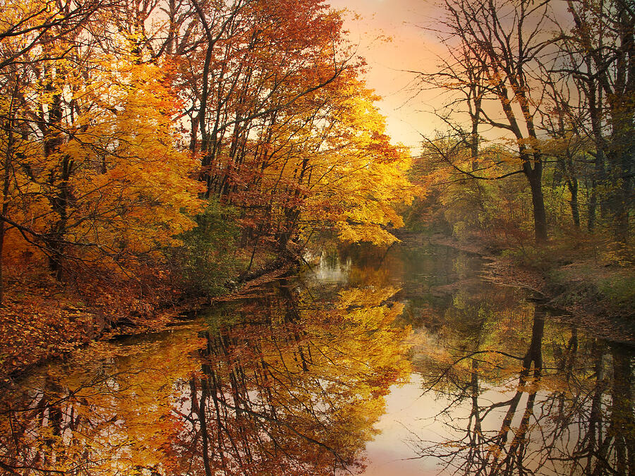 Nature Photograph - Foliage Reflected by Jessica Jenney