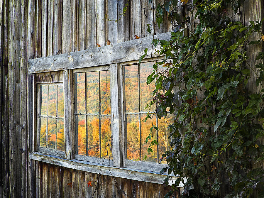 Foliage Reflections Photograph by John Vose