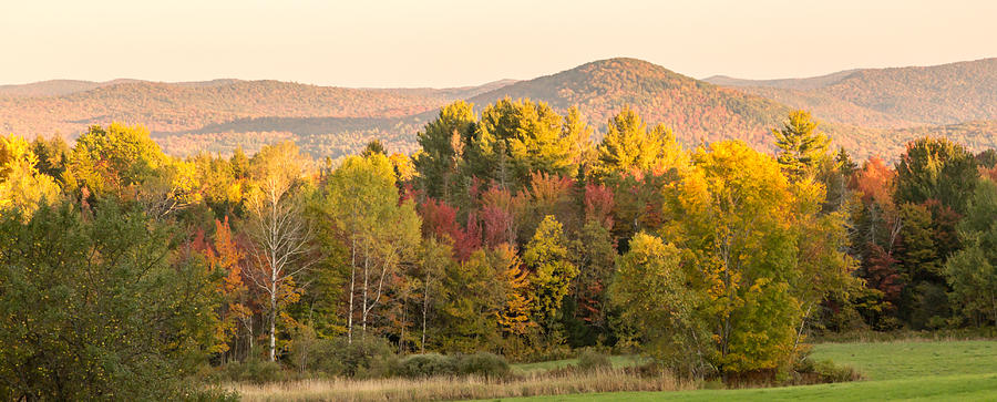 Foliage view with Markham Mountain Photograph by Vance Bell