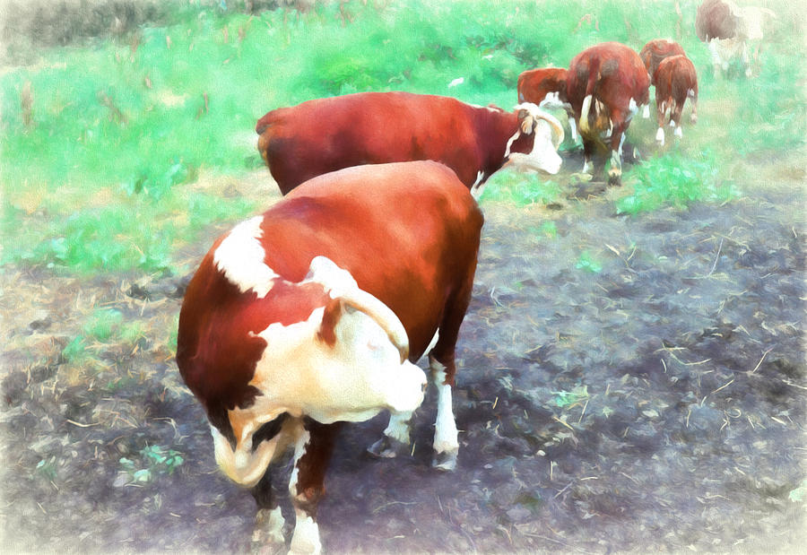 Follow Me Hereford Cows Digital Art by Cathy Anderson
