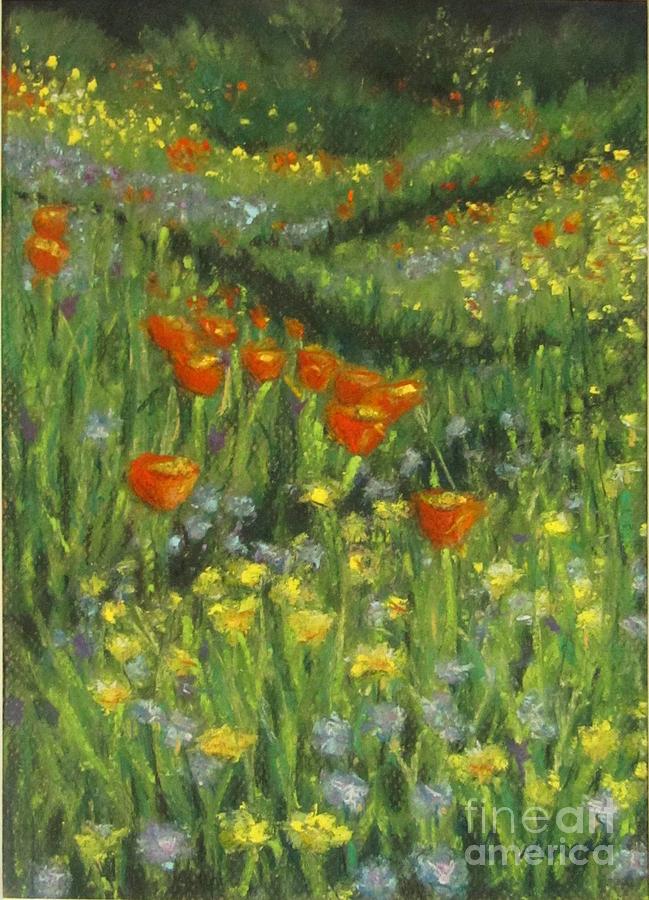 Poppy Trail Pastel by Laurie Morgan