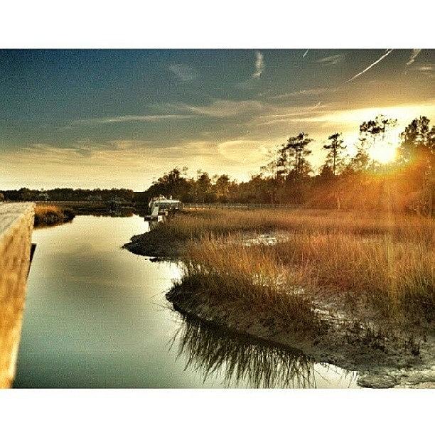 Lowcountry Photograph - Follow My Main Account For Amazing by Brian Evans