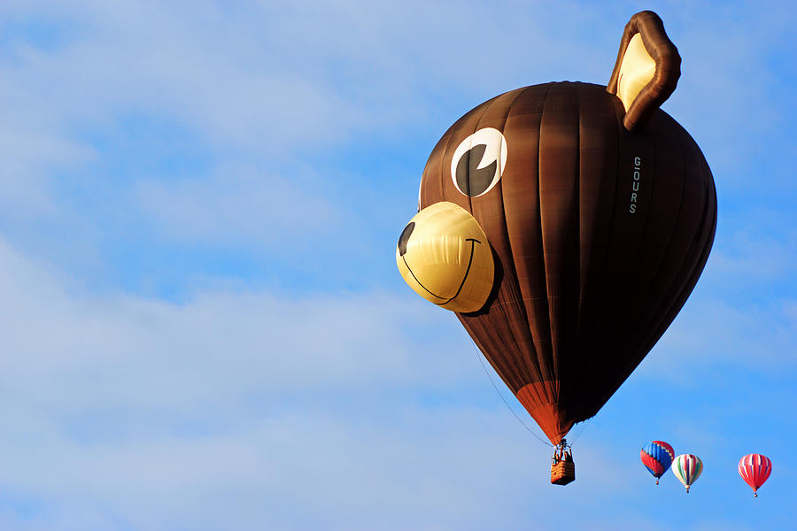 Follow the leader - Belgian Bear Balloon Photograph by Daniel Woodrum