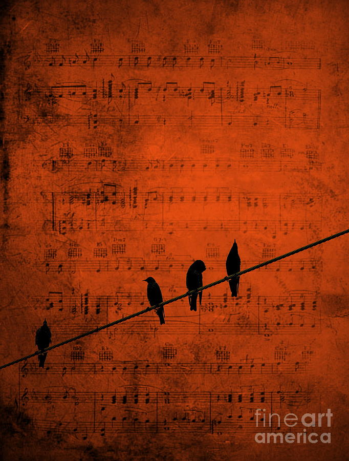 Bird Photograph - Follow the Music by Andrea Kollo