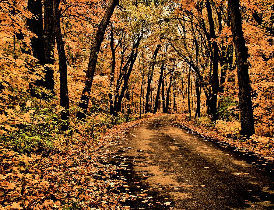 Follow the Road to Autumn Photograph by Rosanne Jordan - Fine Art America