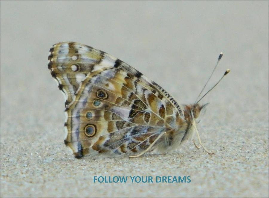 Follow Your Dreams Photograph by Gallery Of Hope 