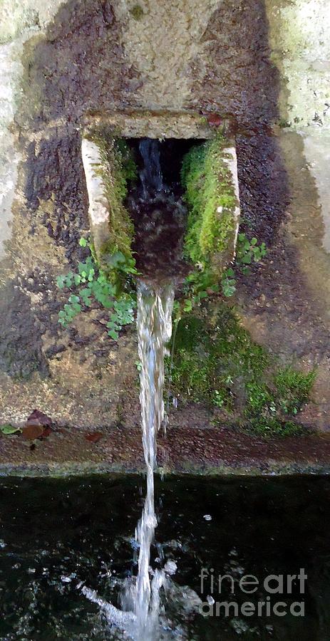 Cool Photograph - Fontana del Pisciarello by Barbie Corbett-Newmin