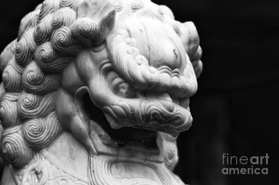 City Photograph - Foo Dog in Chinatown by John Rizzuto