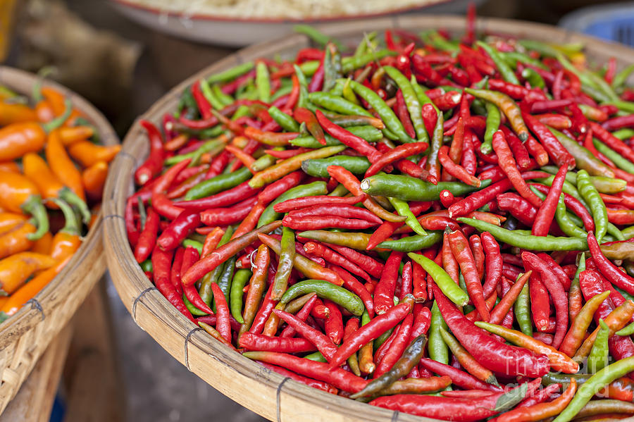 Food market with fresh chili peppers Photograph by Sophie McAulay