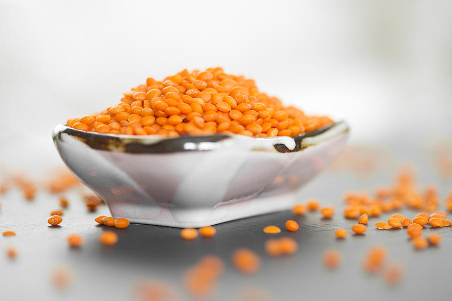 Food - small bowl with red lentils bright grey background Photograph by Matthias Hauser