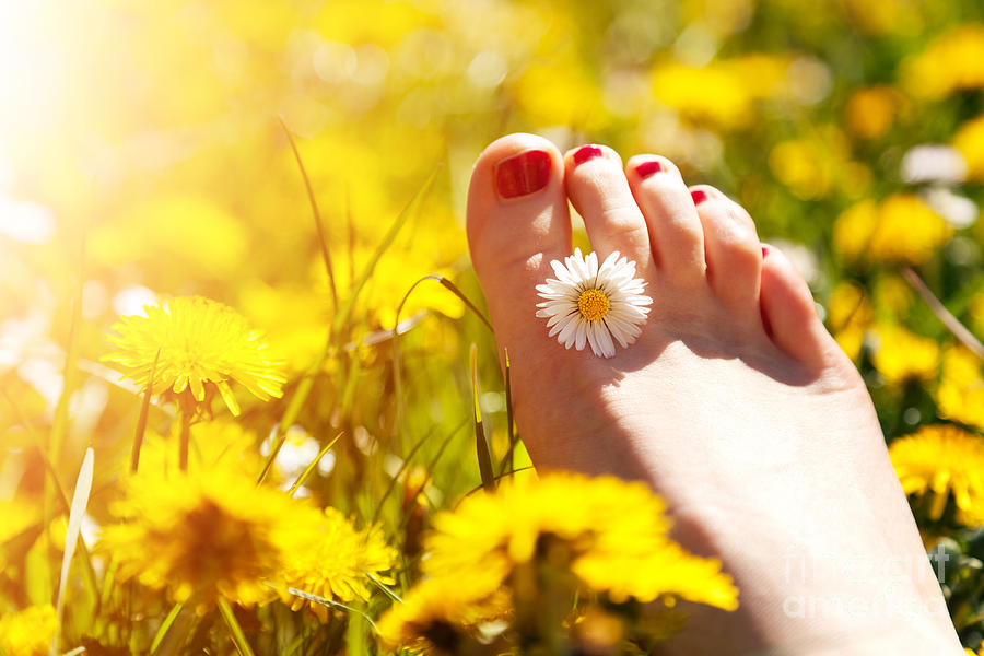Foot of a young woman with a spring flower in fingers Photograph by Michal Bednarek
