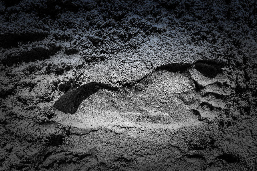Foot Sand Photograph by Kevin Cable