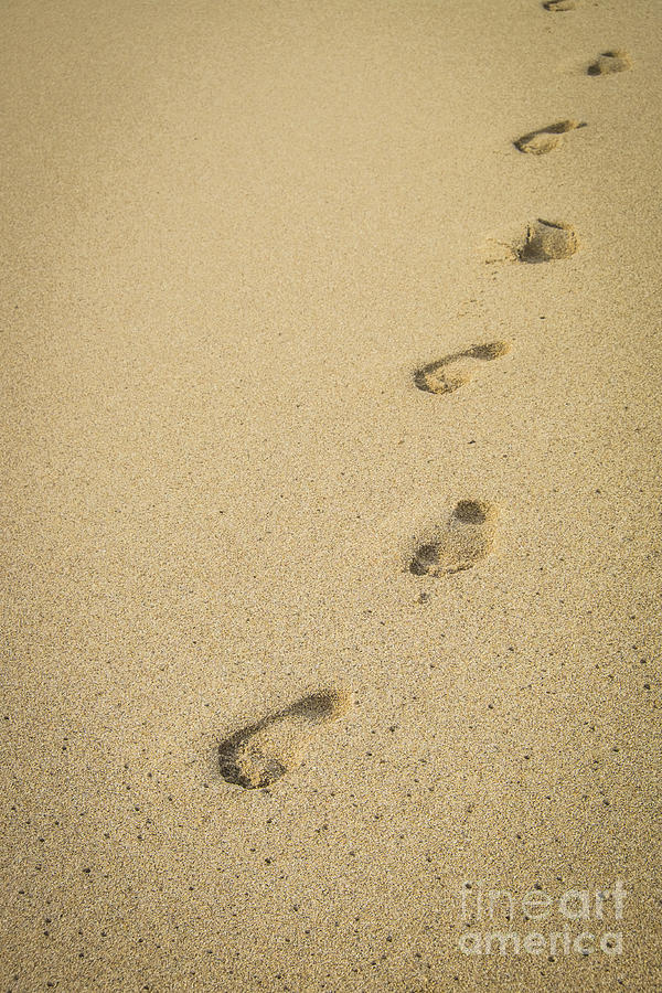Foot Steps On The Beach Photograph