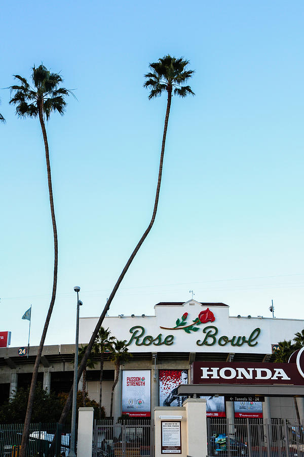 Football and Palm Trees Photograph by Robert Hebert