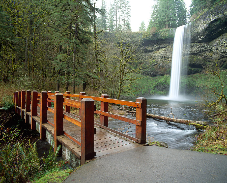 Footbridge Across A River Photograph by Panoramic Images - Fine Art America